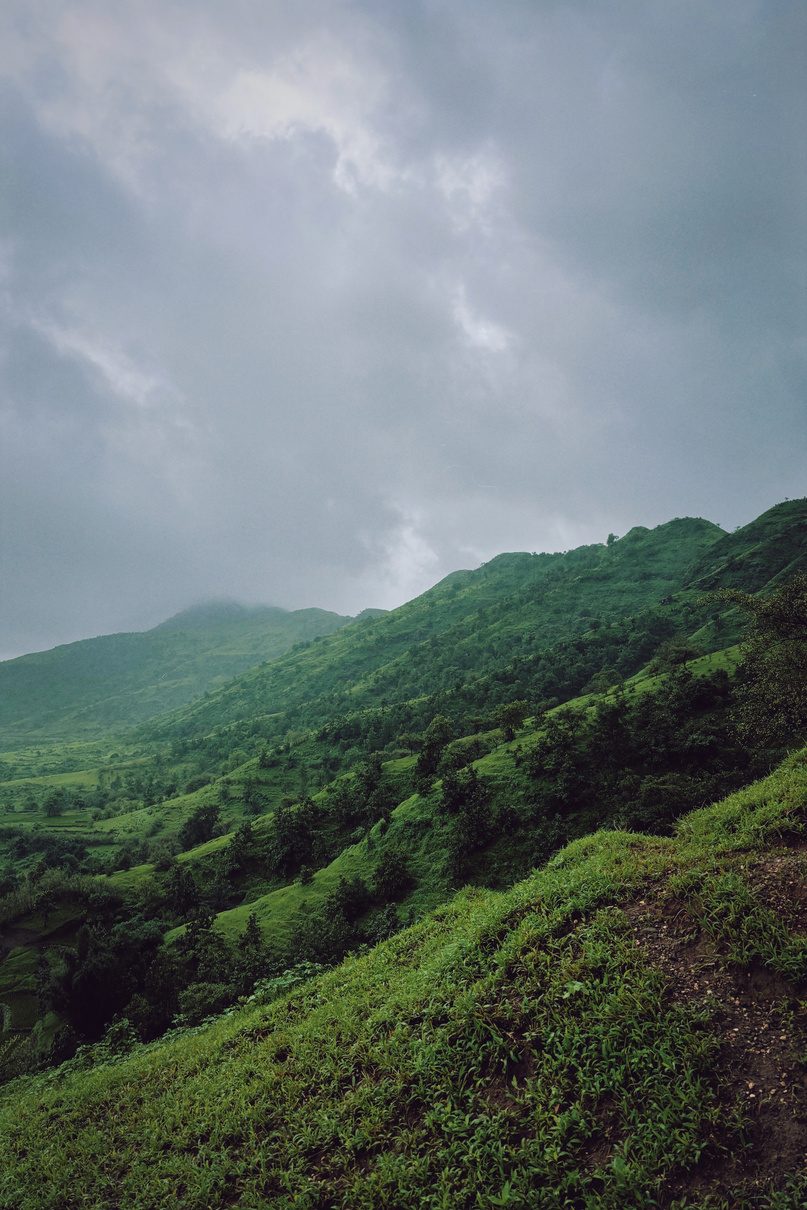 "across towns" Collectio(n.) 2016 - 