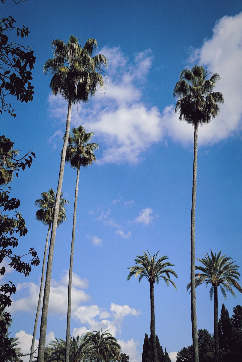 "across towns" Collectio(n.) 2016 - 