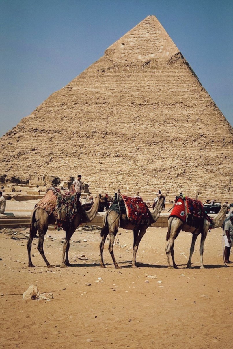 "across towns" Collectio(n.) 2016 - 