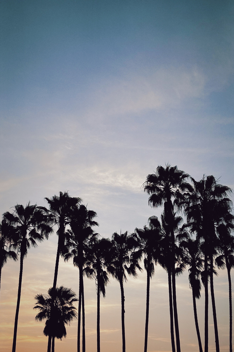 "across towns" Collectio(n.) 2016 - 