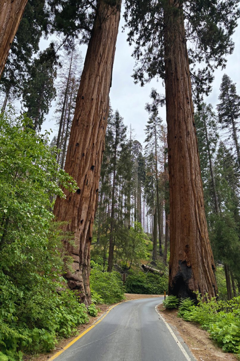 "across towns" Collectio(n.) 2016 - 