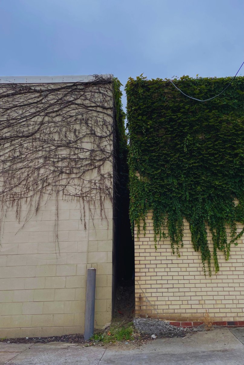 "Let it consume you" Collectio(n.) 2022  - 