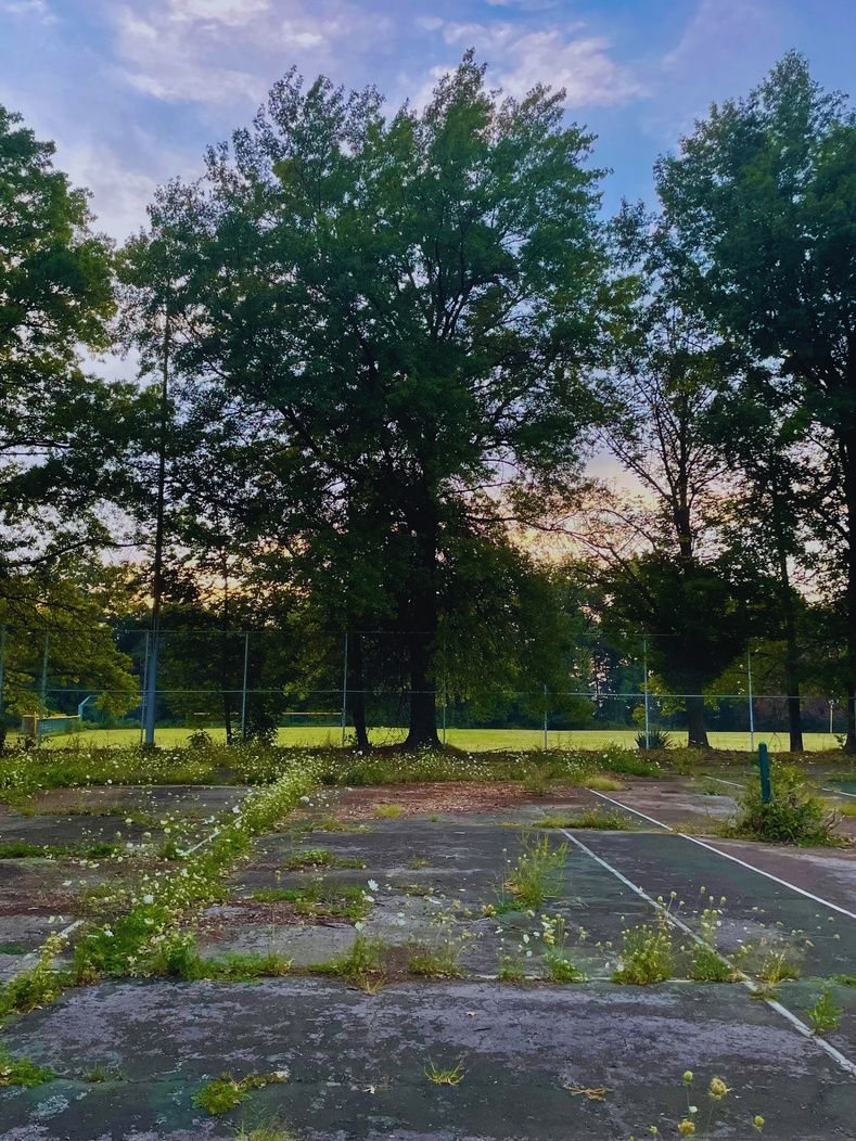 "Let it consume you" Collectio(n.) 2022  - 