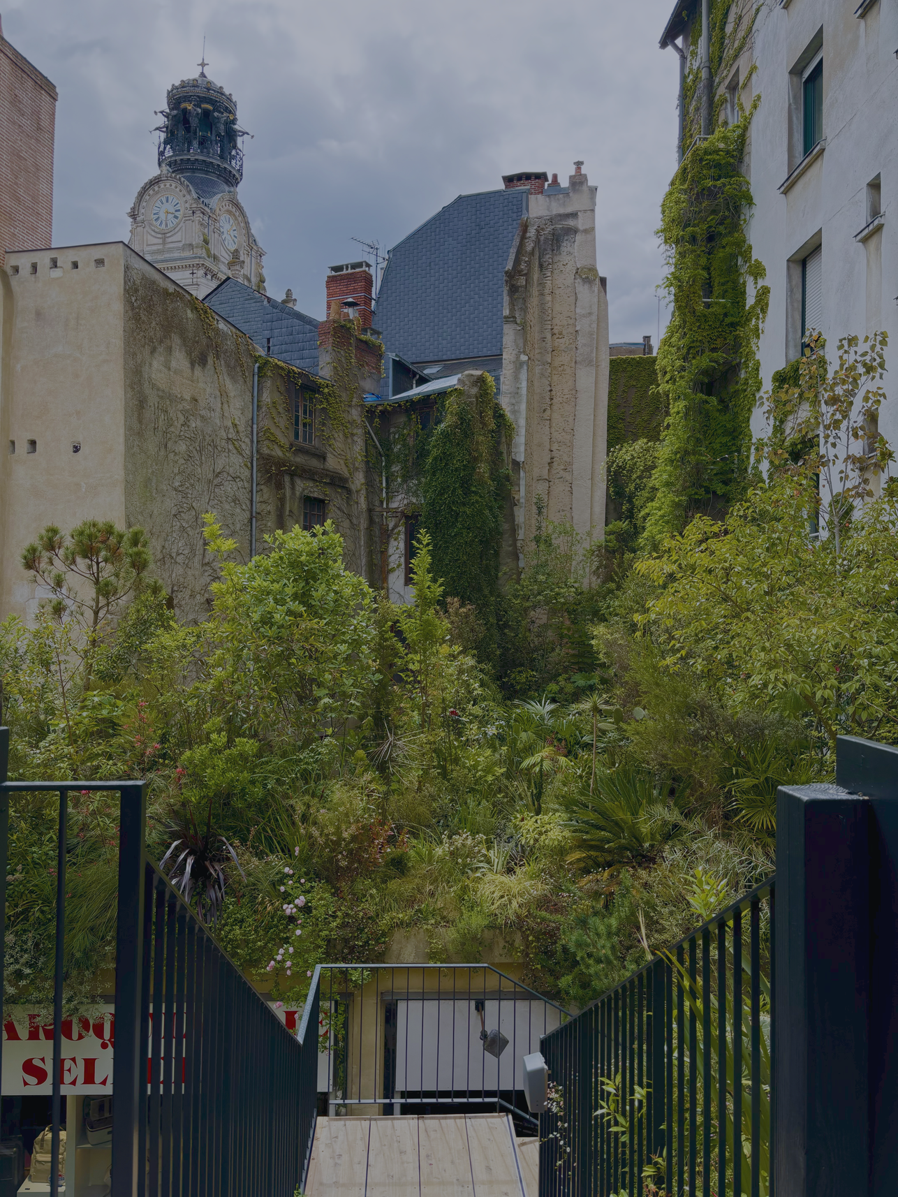 "Let it consume you" Collectio(n.) 2022  - 