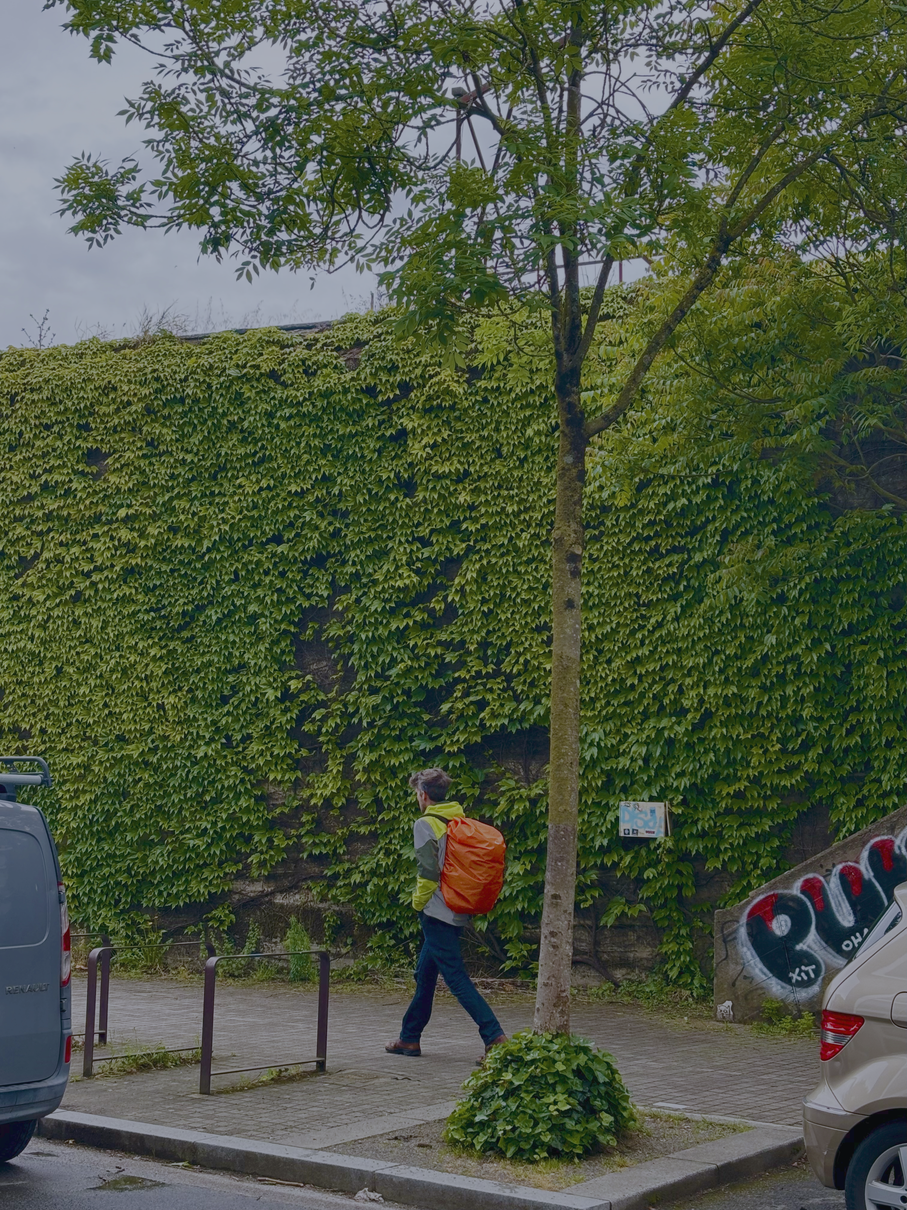 "Let it consume you" Collectio(n.) 2022  - 