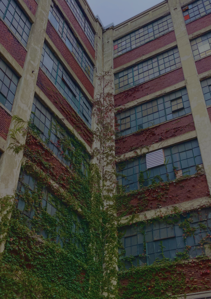 "Let it consume you" Collectio(n.) 2022  - 