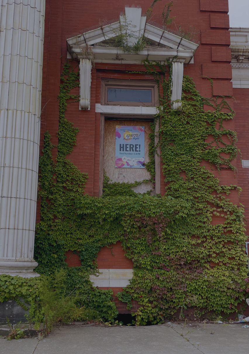 "Let it consume you" Collectio(n.) 2022  - 