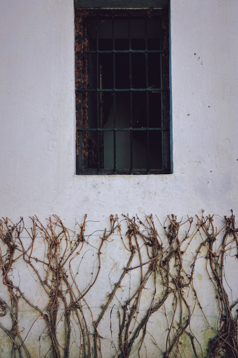 "Let it consume you" Collectio(n.) 2022  - 