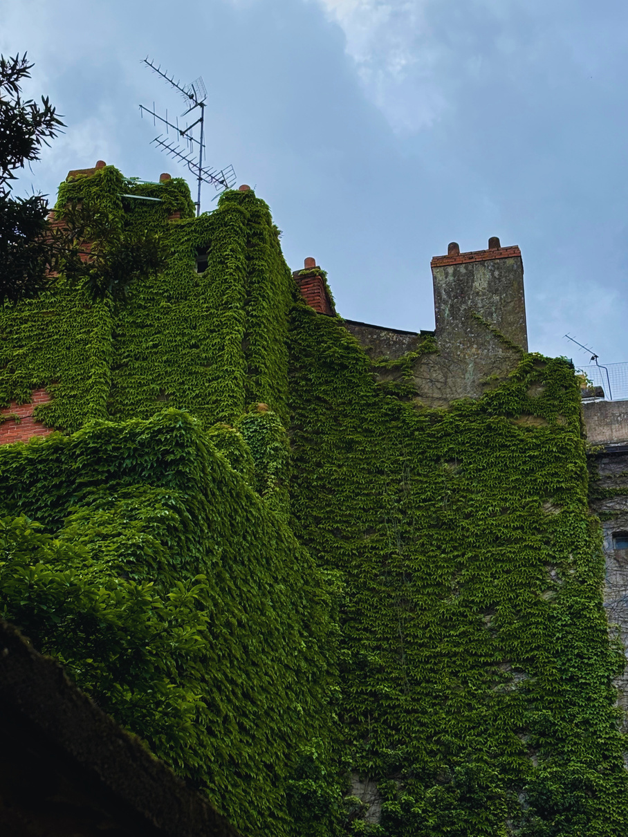 "Let it consume you" Collectio(n.) 2022  - 