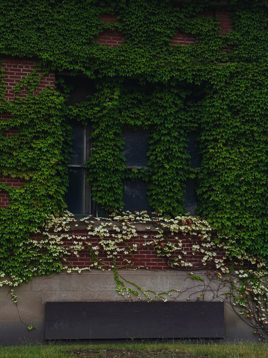 "Let it consume you" Collectio(n.) 2022  - 