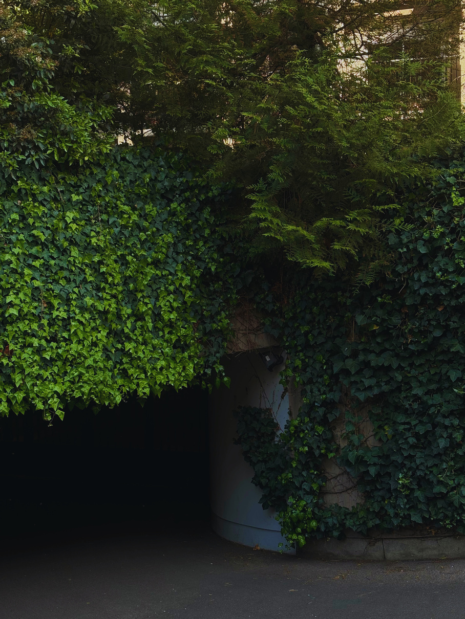 "Let it consume you" Collectio(n.) 2022  - 