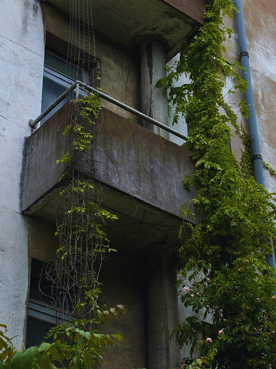 "Let it consume you" Collectio(n.) 2022  - 