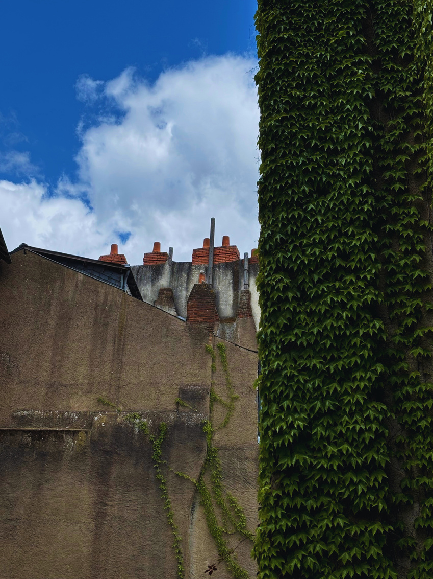 "Let it consume you" Collectio(n.) 2022  - 