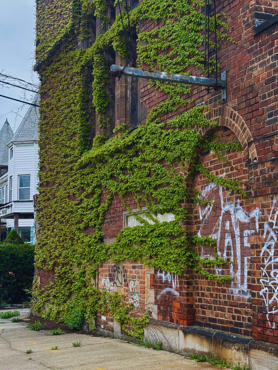 "Let it consume you" Collectio(n.) 2022  - 