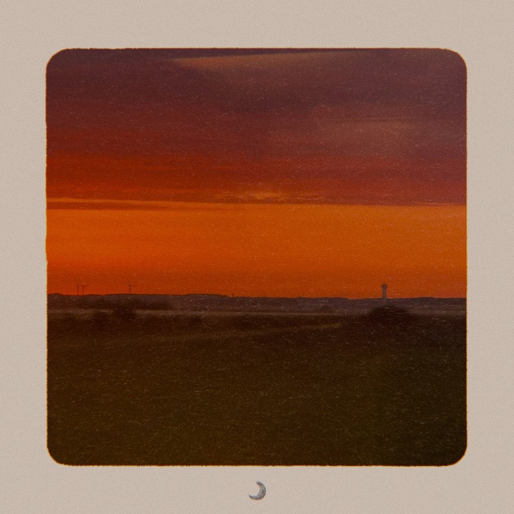 Canaries in a Coal Mine (2024)