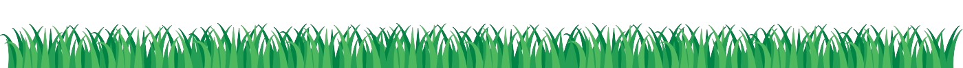 Grass